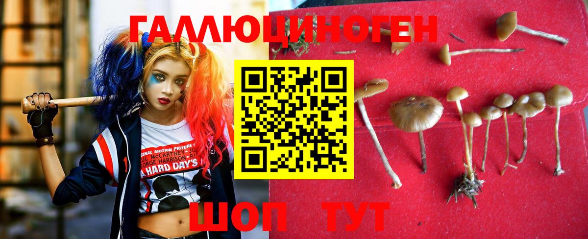 Галлюциногенные грибы Cubensis Тамбов