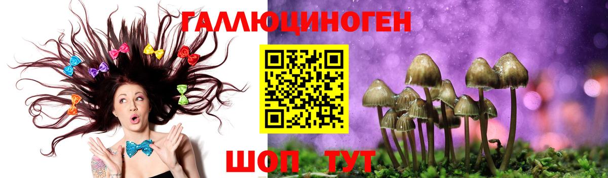 Галлюциногенные грибы прущие грибы  Галлюциногенные грибы Cubensis  Тамбов  Вход с VPN 